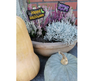 Stickdatei ITH - Happy Halloween Banner & Stecker